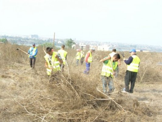 30 de deţinuţi vor igieniza şi împăduri câteva terenuri din Valu lui Traian
